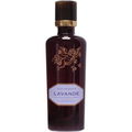 Classic Collection: Aqua Aromatica - Lavande von Florascent