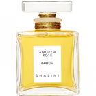 Amorem Rose von Shalini