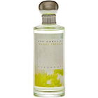 Aguas Frescas Bergamota by Eva González