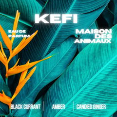 Kefi von Maison des Animaux
