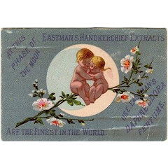 Daphne Odora von Jergens / Eastman Royal Perfumes Daphne Odora von Jergens / Eastman Royal Perfumes