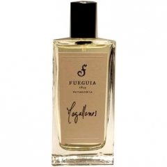 Magallanes by Fueguia 1833