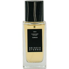Brindis Eterno by Lula Curioca Olfactory Studio