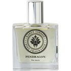 Pendragon von Karen Timson