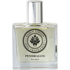 Pendragon von Karen Timson