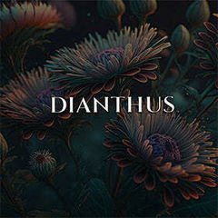 Dianthus von Deconstructing Eden