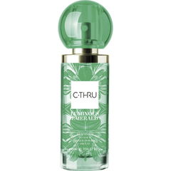 C-Thru Luminous Emerald / C-Thru Emerald Shine von Sarantis