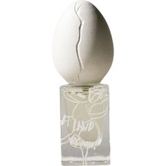 At Land by Perfume Who