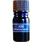 Tree Wisdom Perfume - Ash von Star Child