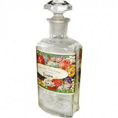 Fougère von Ernst Colditz / Parfumerie Mia Vera