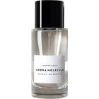 Ambra Molecule by BMRVLS