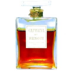 Cattleya by Renoir Paris Cattleya by Renoir Paris