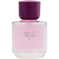 Ray of Gardenia by Zara
