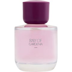 Ray of Gardenia von Zara