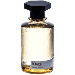Brach von Evok