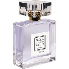 Raccolta by Acqua ai Fiori di Spello