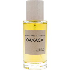 Oaxaca by Clandestine Laboratories
