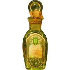Lily of the Valley von Hanson-Jenks