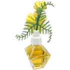 Crêpe Satin by Arthur Philippi