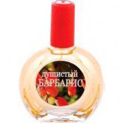 Fragrant Barberry / Душистый барбарис von Judith