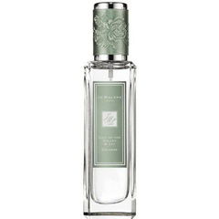 Lily of the Valley & Ivy