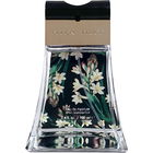 Confident (Eau de Parfum) by Ellen Tracy