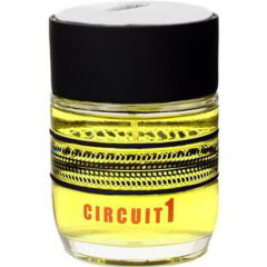 Circuit 1 by Jean Paul Dupont
