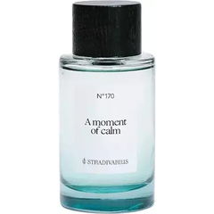 Nº 170 A Moment of Calm by Stradivarius