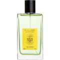 Bois de Cedrat by Collines de Provence