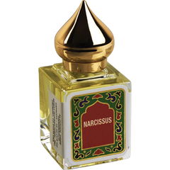 Narcissus von Nemat International