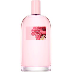 Rosa Sensual by Victorio & Lucchino