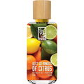 Best 22 Shades of Citrus von The Dua Brand / Dua Fragrances