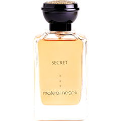 Secret by Matea Nesek