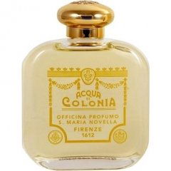 Mughetto by Santa Maria Novella