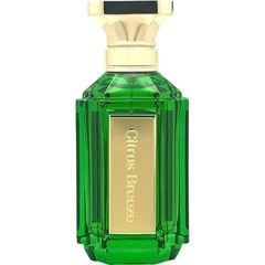 Citrus Breeze von Ainash Parfums