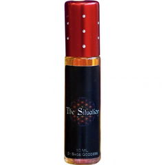 The Situation von The Sage Goddess