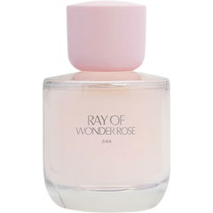 Ray of Wonder Rose von Zara