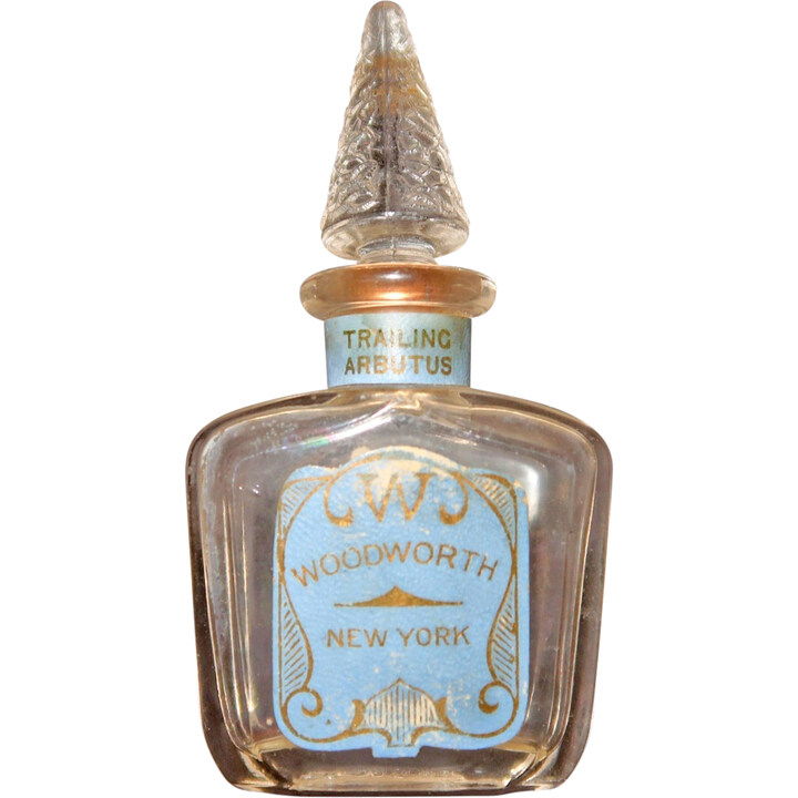 by Al Haramain  by Al Haramain