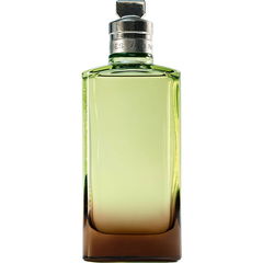Mystic Moss von Dries Van Noten