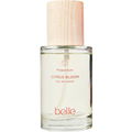 Propositum - Citrus Bloom by belle