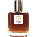 Bodhi Tree by Teone Reinthal Natural Perfume