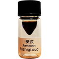 Ambon 安汶 von Fushigi Oud
