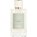 Chêne von Chloé