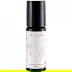 Dreams of Gion by Amayori