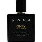 Only by NOAH Fragrance