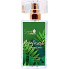 Rainforest Sugarcane von Sugar Me Sweet