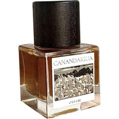 Canandaigua by Jinx
