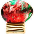 Live in Colours von The House of Oud