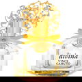 Divina von Vince Camuto