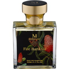 Fire Banksia von Metascent